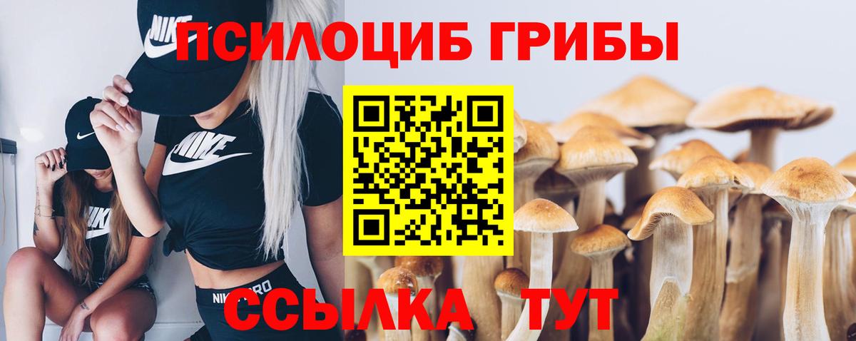 Галлюциногенные грибы Cubensis  Вход с VPN  Галлюциногенные грибы прущие грибы  Южноуральск 